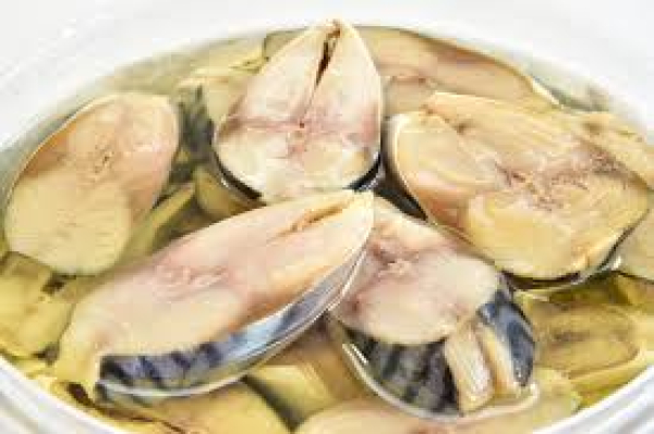 Σκουμπρί Φέτα σε Λάδι ΔΙΧΤΥ 1.7kg