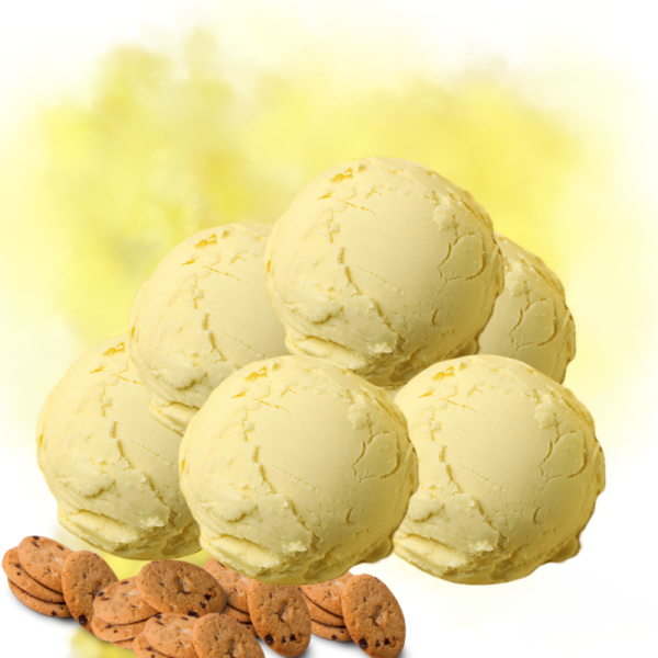 Γεύση Παγωτού Mπισκότο Biscaroma Digusto OLYMPIC FOODS 3kg