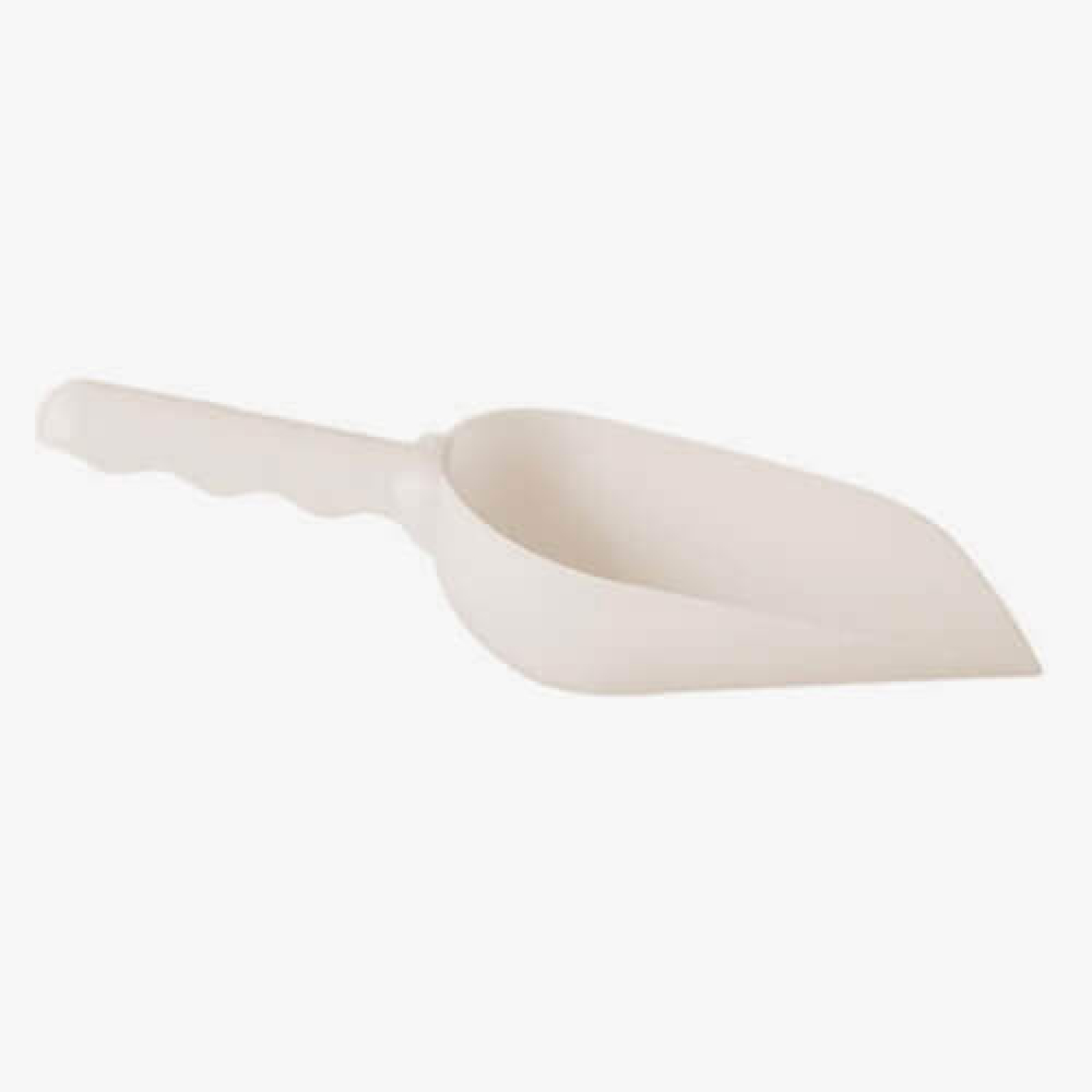 Σέσουλα Μεσαία ΚΥΚΛΩΨ 1τμχ