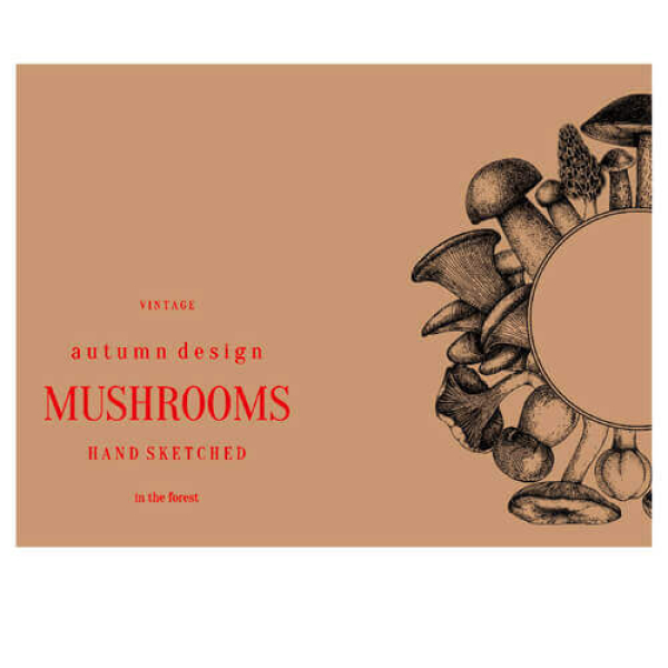 Σουπλά κραφτ μανιτάρι 30x40cm ΟΕΜ 500τμχ