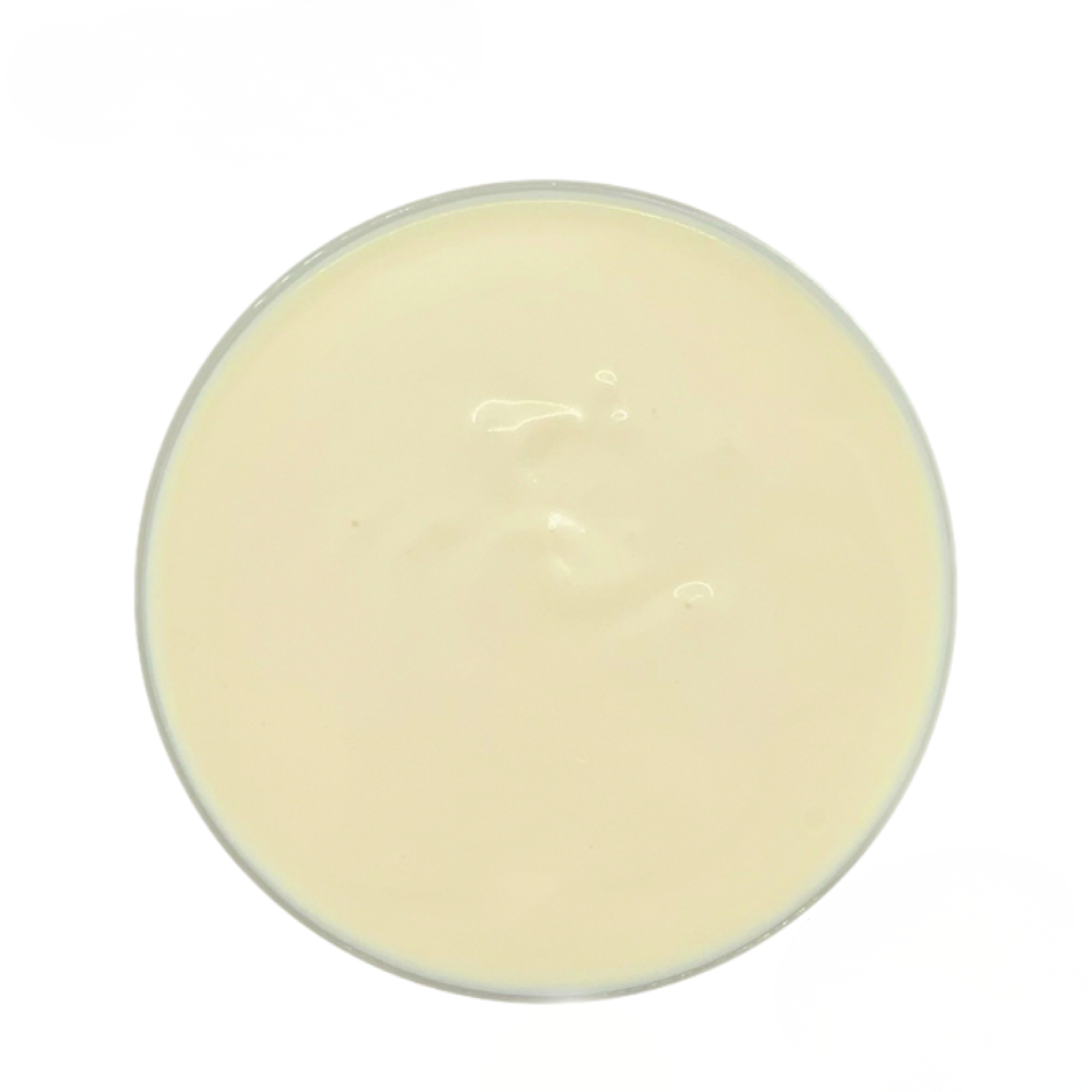 Πραλίνα Bανίλια Pralinof OLYMPIC FOODS 5kg