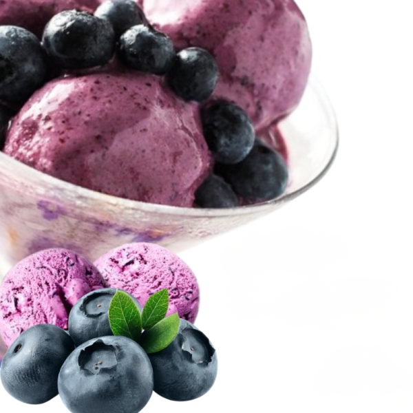 Γεύση Παγωτού Μύρτιλλο Blueberry Di Gusto OLYMPIC FOODS 4kg