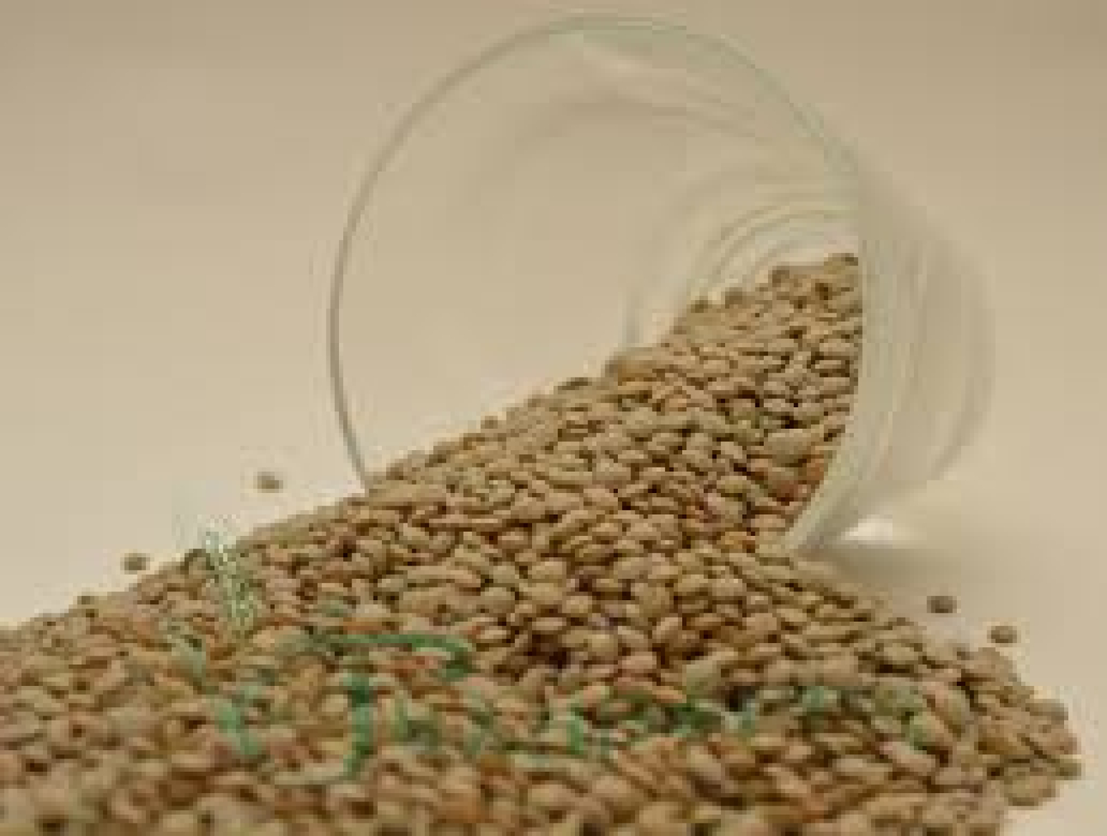 Φακές Ψιλές ΑΦΟΙ ΓΚΛΑΒΕΡΗ 15kg