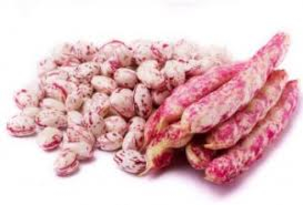 Μπαρμουνοφάσουλα ΑΦΟΙ ΓΚΛΑΒΕΡΗ 15kg