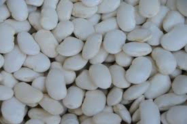 Φασόλια Γίγαντες ΑΦΟΙ ΓΚΛΑΒΕΡΗ 5kg