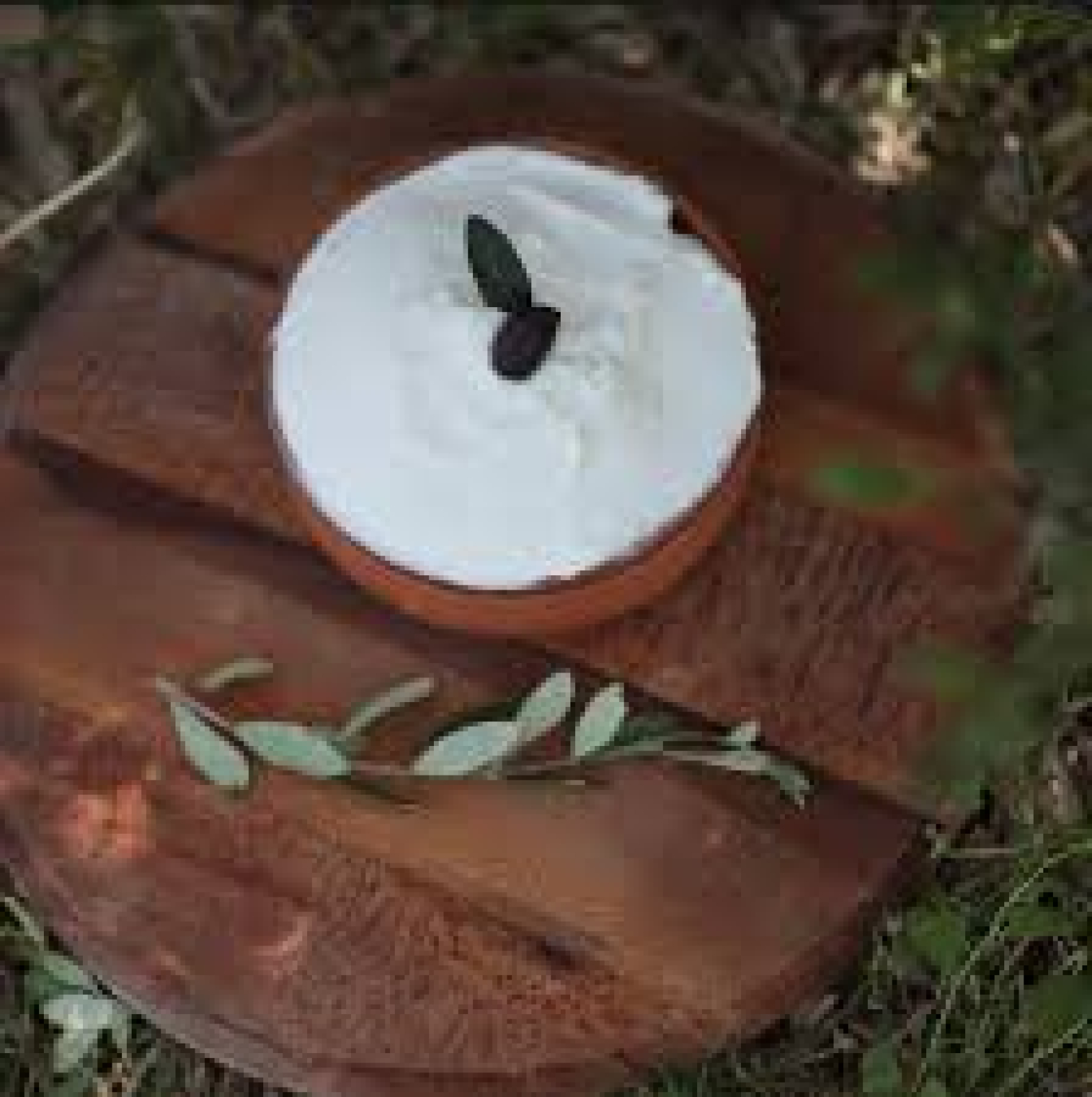 Τυρί Τσαλαφούτι σε Τάπερ ΡΟΥΜΕΛΗ~3Kg