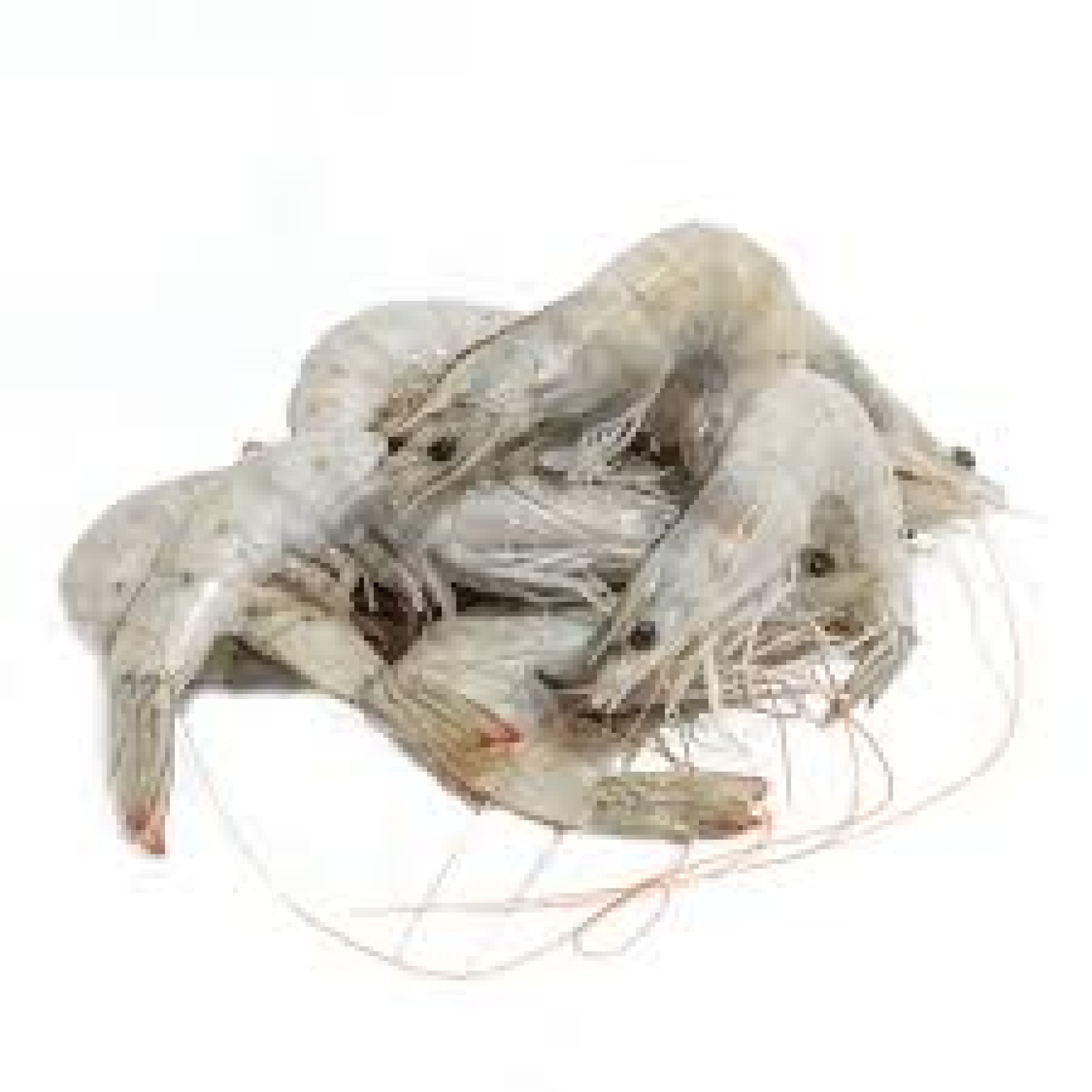 Γαρίδες κατεψυγμένες τύπου Vannamei 20/30 ΣΑΡΒΑΜΗΣ 2kg