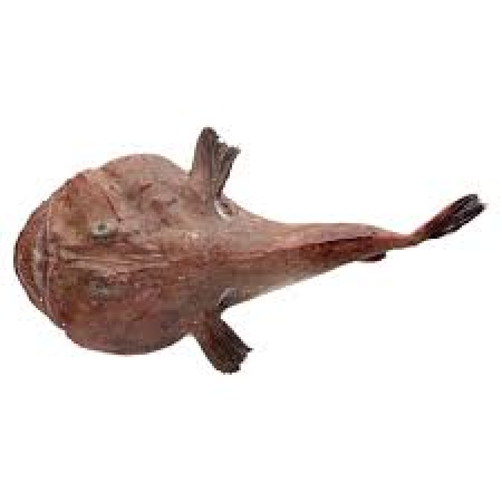 Πεσκανδρίτσα Κίνας ΣΑΒΡΑΜΗΣ 10kg