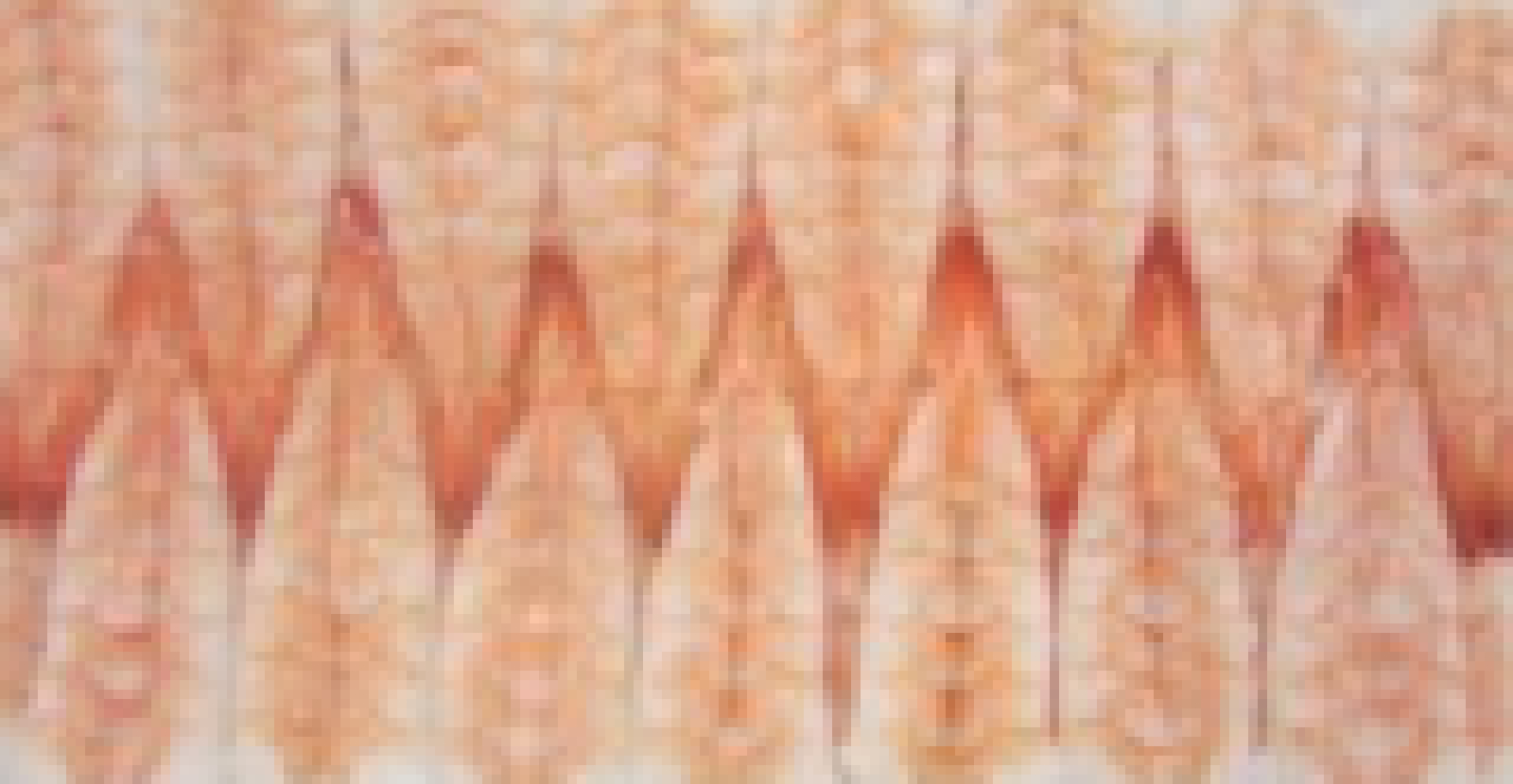 Γαρίδες Ebi Sushi 5L ΚΤΨ (20X240GR) TROFO '94 4,8kg